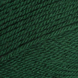 Stylecraft Special Chunky