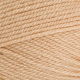 Stylecraft Special Chunky