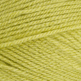 Stylecraft Special Aran