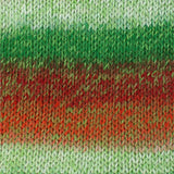 Stylecraft Wonderland Chunky