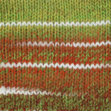 Stylecraft Wonderland Chunky