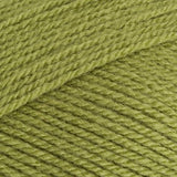 Stylecraft Special Double Knit