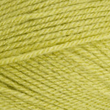 Stylecraft Special Double Knit