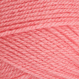 Stylecraft Special Double Knit