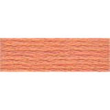 DMC Stranded Skeins 326 - 704