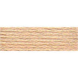 DMC Stranded Skeins 919 - 3716