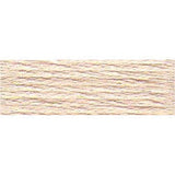 DMC Stranded Skeins 919 - 3716