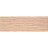 DMC Stranded Skeins 919 - 3716