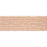 DMC Stranded Skeins 919 - 3716