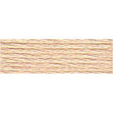 DMC Stranded Skeins 919 - 3716