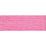 DMC Stranded Skeins 919 - 3716