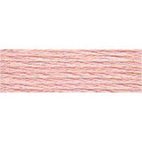 DMC Stranded Skeins 919 - 3716