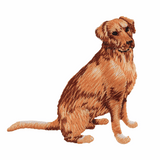Gold Retriever Dog Motif CFM2/048